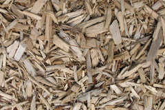 biomass boilers Aisgernis